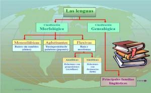 Language classification